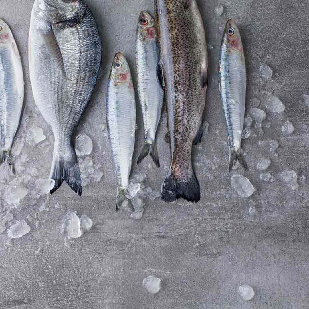 Quels types de plats sont adaptés au batch cooking et à la congélation ?