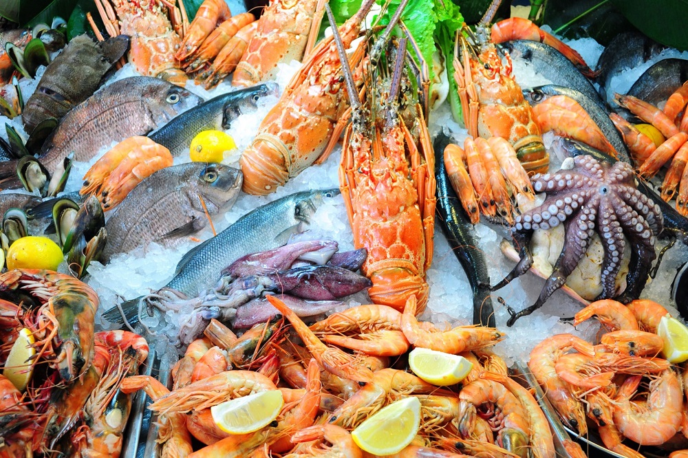 "Comment préparer les produits laitiers avant de les congeler ?"