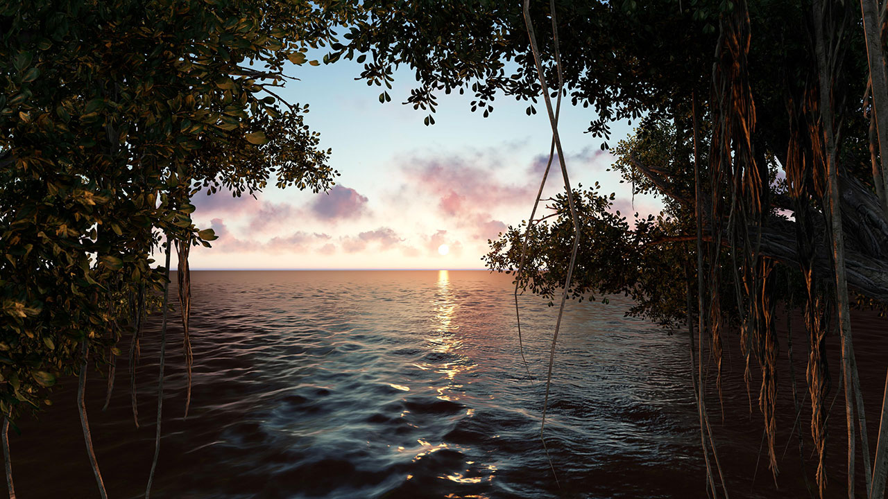 plus belles mangroves des Caraïbes