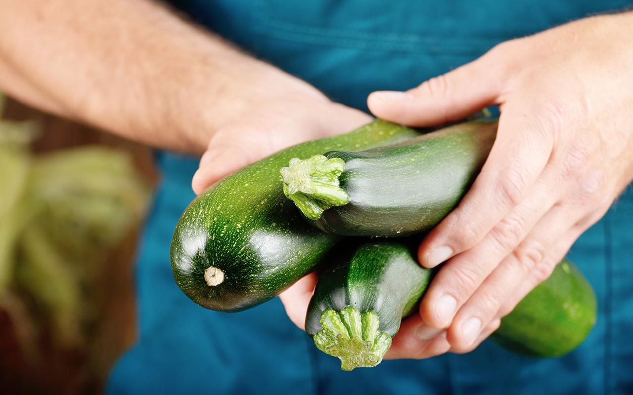 "Quelles sont les précautions essentielles pour préserver la qualité des aliments?"